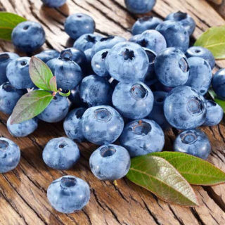 Blueberry_Bluecrop_Vegetable_17350Optimized